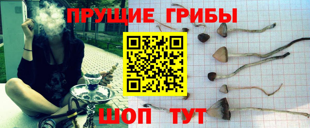 Псилоцибиновые грибы мухоморы Надым