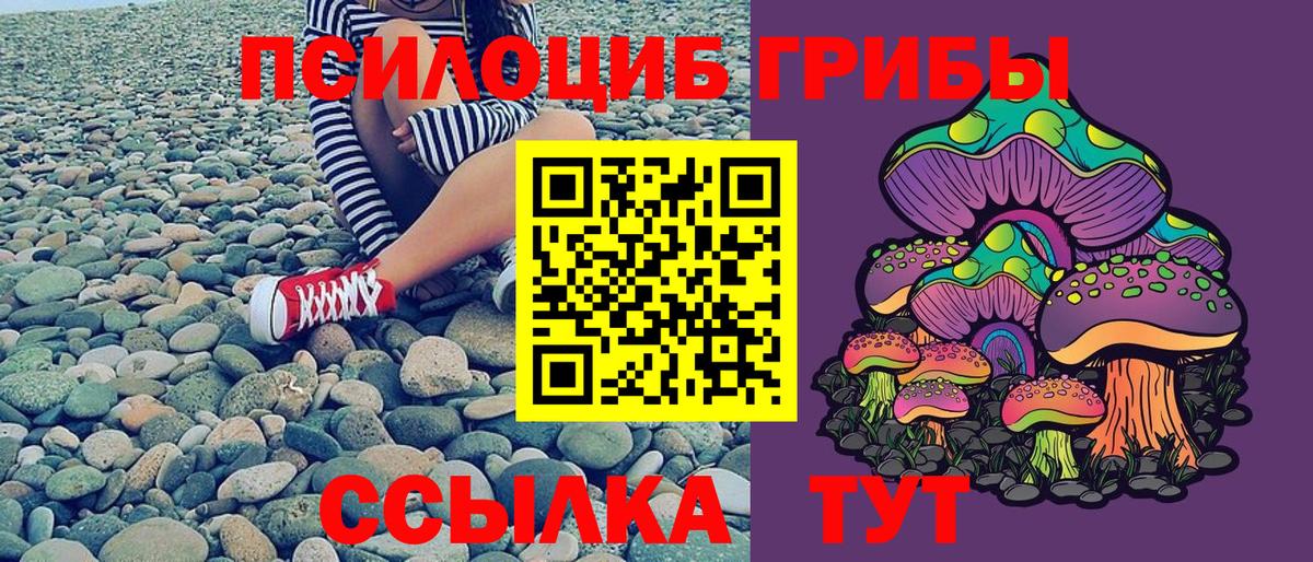Надым  Псилоцибиновые грибы Psilocybine cubensis  купить наркотики сайты  Галлюциногенные грибы ЛСД  Вход с VPN 
